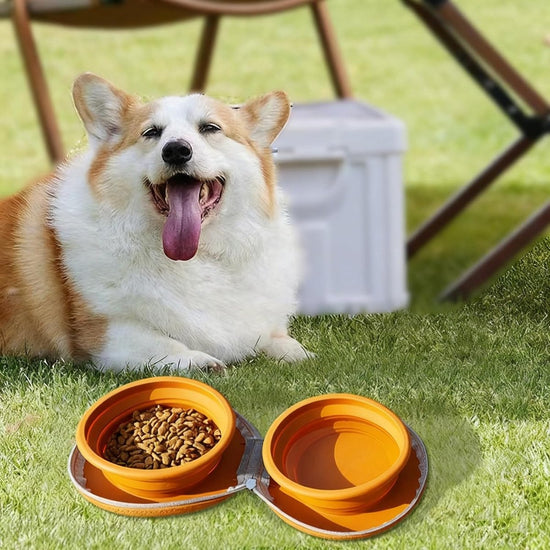 Dog Food Bowl - Foldable Dog Food Bowl - Outdoor Pet Food Bowl - 2-in-1 Dog Food Bowl - with Zippered Storage Bag and Carabiner - Suitable for Travel, Hiking, Camping and Other Activities (Brown)