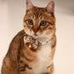 Cat Collar - Bow and Bell Collar - Adjustable Kitten Collar - Dog Collar - Lightweight Safety Collar for Pets (Set of 6)