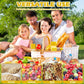 2-Pack Cheese Storage Boxes with Lids - For Sliced & Grated Cheese in the Fridge - Dishwasher Safe