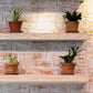 Floating Shelf Brackets - Pack of 4 - Shelf Brackets - 75mm (3 inch) Heavy-Duty Concealed Shelf Brackets - Includes Mounting Screws - For supporting wall display cases and furniture shelves