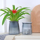 Flower pots - Plastic flower pots - sustainable garden supplies - hydroponic flower pots - visible water level - With absorbent cotton rope - Ø 10 x H 12 cm - Gray
