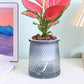 Flower pots - Plastic flower pots - sustainable garden supplies - hydroponic flower pots - visible water level - With absorbent cotton rope - Ø 10 x H 12 cm - Gray