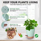 Planters - Self-watering succulents - Set of 6 tabletop planters - Minimalist design