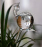 snail-shaped hand-blown clear glass self-watering sustainable mini transparent plant watering pot