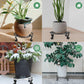 2 Pack Round Metal Plant Stands for Flower Pots, Heavy-Duty Rustproof Iron Indoor and Outdoor Planter Risers, Black, 30 cm