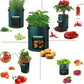 5 Pieces 38 L Grow Bags with Handles and Harvest Window, Breathable Planter Bags for Potatoes, Carrots and Vegetables, Green