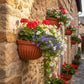 Semi-Circular Hanging Planters for Indoor Outdoor Plants, Wall Mount Flower Pot Holder Hanger for Indoor and Outdoor Use Brown