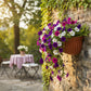 Semi-Circular Hanging Planters for Indoor Outdoor Plants, Wall Mount Flower Pot Holder Hanger for Indoor and Outdoor Use Brown
