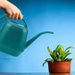 Pot Watering Jug Small Plant Indoor Watering Plant Indoor Watering Jug Long Spout Watering Jug Watering Garden Pot Household Watering Jug Watering Garden Kettle （2L） Dark blue