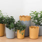 Flower Pots , Garden Supplies Promotion! Plastic Plant Pots for Plants With Saucers Indoor Set of 1 Plastic Planters Modern Flower Pot With Hole for All House Plants Herbs Flowers Or4 Z5-OR1