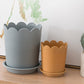 Flower Pots , Garden Supplies Promotion! Plastic Plant Pots for Plants With Saucers Indoor Set of 1 Plastic Planters Modern Flower Pot With Hole for All House Plants Herbs Flowers Or4 Z5-OR1