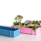 Worgeous Succulent Flower Pot Houseplant Indoor Large Pots Planter for Plants Pink