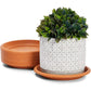 Heavy Duty Plastic Plant Saucer - 8 Inch Round Flower Pot Drip Tray, Durable Flowerpot Base for Indoor/Outdoor Use, Water Catcher for Potted Plants, Easy to Clean, Black B