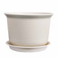 1 Piece Plastic Plant Pot with Drainage Holes and Saucer, Nursery Planter for Indoor Plants, 15.4 x 10.8 cm, Beige