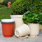 Plastic Plant Pot with Drainage Holes and Saucer, Nursery Planter for Indoor Plants, 21.2 x 13 cm, Red