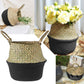 Seagrass Wicker Folding Storage Basket, Handmade Decorative Plant Pot Basket for Home Decor, 25.9 x 32 cm