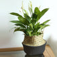 Seagrass Wicker Folding Storage Basket, Handmade Decorative Plant Pot Basket for Home Decor, 25.9 x 32 cm