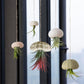 5 Pcs Mini Sea Urchin Shell Air Plant Holders,Decorative Hanging Air Plant Pot, Tillandsia Succulent Display Container for Home Gardening Gifts Beach Theme Party Decors, No Plants