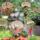 5 Pcs Mini Sea Urchin Shell Air Plant Holders,Decorative Hanging Air Plant Pot, Tillandsia Succulent Display Container for Home Gardening Gifts Beach Theme Party Decors, No Plants