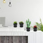 Pots for Plants, 8 Pack 4.8 inch Plastic Planters with Multiple Drainage Holes and Trays - Plant Pots for All Home Garden Flowers Succulents (White) 4inch-Black1