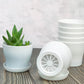 Pots for Plants, 8 Pack 4 inch Plastic Planters with Multiple Drainage Holes and Trays - Plant Pots for All Home Garden Flowers Succulents (White) 4inch-White