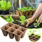 30 Cells Peat Pots Seed Starter Trays 5 Packs Biodegradable Seedling Pots Germination Trays Organic Plant Starter Kit B