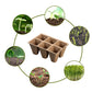 30 Cells Peat Pots Seed Starter Trays 5 Packs Biodegradable Seedling Pots Germination Trays Organic Plant Starter Kit C