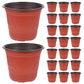 Worgeous 50 Pcs Large Plastic Planter Pots for and Plants, Garden Starter Containers