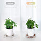 5 Pack Clear Plastic Plant Saucers Drip Trays Plant Plate Dish for Indoor Planters Flower Pots, 10 inch A