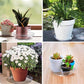 5 Pack Clear Plastic Plant Saucers Drip Trays Plant Plate Dish for Indoor Planters Flower Pots, 10 inch B