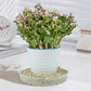 5 Pack Clear Plastic Plant Saucers Drip Trays Plant Plate Dish for Indoor Planters Flower Pots, 10 inch B