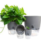 Self Watering Planter, 4 Inch Self Watering Pots for Indoor Plants, Self Watering Planters with Wick Rope for All House Herbs, Plants, Violets and Dahlias Gray