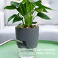 Self Watering Planter, 4 Inch Self Watering Pots for Indoor Plants, Self Watering Planters with Wick Rope for All House Herbs, Plants, Violets and Dahlias Gray