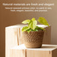 Woven Seagrass Plant Basket, Flower Pots Home Boho Decor, Storage Picnic Grocery Straw Bag for Plant Artificial Tree - 5.5×8.7×6.29