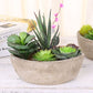 4 pcs Modern Artificial Succulent Arrangement Potted in Gray Concrete Plant Bowl, Assorted Faux Mini Succulen