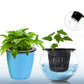 4PCS Garden Net Cup Pots Plastic Hydroponics Net Pot Bucket Basket for Hydroponics Supplies ( Black )