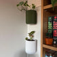 Modern Minimalist Mounted Planter, Indoor, Hidden Wall Mount, Home Decor, Home Gift, Wall Planter, Hidden Drip Tray