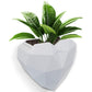 Wall Mounted Planter - NO DRILLING,Houseplant Wall Display Ideas,3D Printed Wall Planter with Drainage Tray