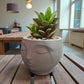 A 3D-printed, serene flowerpot, an eye-catching decorative piece for modern interior spaces. Suitable for planting small plants or succulents.