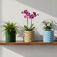 3D Printed Modern Wave Flower Pot - Water-Storing Rotating Base, Light Blue, Single Piece