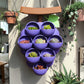 3D-printed grape pots in purple, brown, and green.