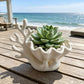 3D-printed coastal coral and clam shell succulent planter pot, white
