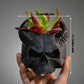 3D-printed horned skull flower pot, succulent plant pot, black.
