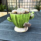Cactu-Shaped Resin Planter  - Mini Multi-Opening Flower Pot for Desktop, Garden, Office Decor, Unique Gift for Plant Lovers (Cactu)