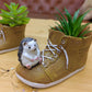 Cute Hedgehog with Resin Shoe Flower Pot with Animal Figurine, Creative Succulent Planter for Indoor Outdoor Garden Desk Decor Gift