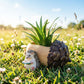 Creative Hedgehog Pinecone Resin Planter, Mini Succulent Pot for Indoor & Outdoor Garden Decor