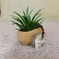 Creative Hedgehog Pinecone Resin Planter, Mini Succulent Pot for Indoor & Outdoor Garden Decor
