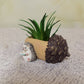 Creative Hedgehog Pinecone Resin Planter, Mini Succulent Pot for Indoor & Outdoor Garden Decor
