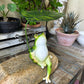 Creative Umbrella Frog Resin Figurine - Outdoor Patio Garden Balcony Decor, Aquarium Micro Landscape Craft