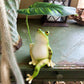 Creative Umbrella Frog Resin Figurine - Outdoor Patio Garden Balcony Decor, Aquarium Micro Landscape Craft